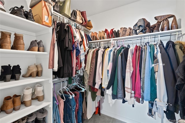 walk in closet featuring carpet flooring