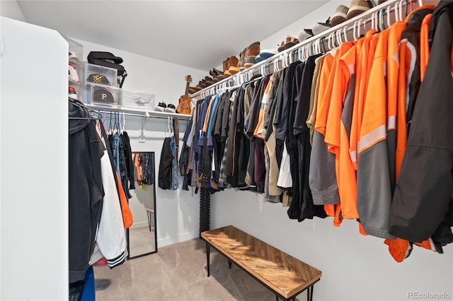 spacious closet with carpet