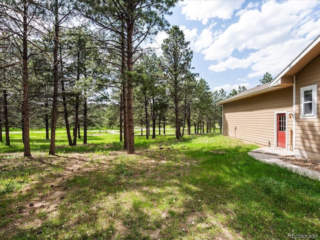 20125 Indi Dr, Monument, CO 80132 - photo 39