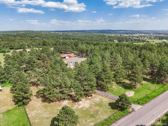 20125 Indi Dr, Monument, CO 80132 - photo 46