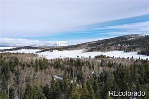 3129 Henderson Dr, Fort Garland, CO 81133 - photo 9