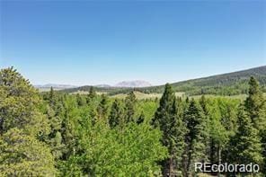 3129 Henderson Dr, Fort Garland, CO 81133 - photo 10
