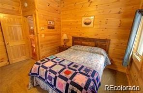 3129 Henderson Dr, Fort Garland, CO 81133 - photo 28