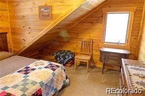 3129 Henderson Dr, Fort Garland, CO 81133 - photo 29