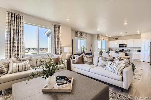 living room with a healthy amount of sunlight and light hardwood / wood-style flooring