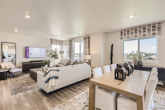 living room featuring a textured ceiling and light hardwood / wood-style flooring