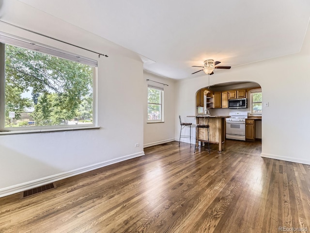 2102 S Pearl St, Denver, CO 80210 - living room with arched walkways, plenty of natural light, dark wood finished floors, and ceiling fan