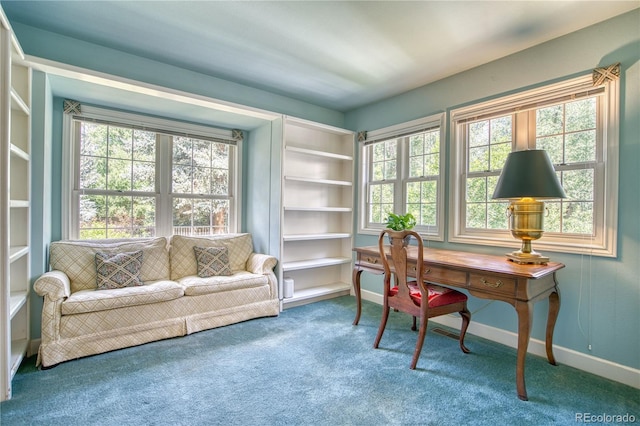 4471 Wellington Rd, Boulder, CO 80301 - photo 15