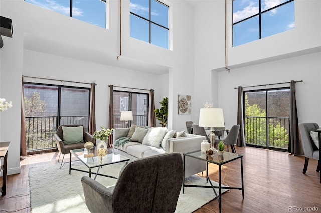 living area with plenty of natural light, a high ceiling, and wood finished floors