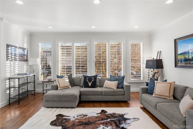 living room featuring hardwood / wood-style floors, crown molding, and plenty of natural light