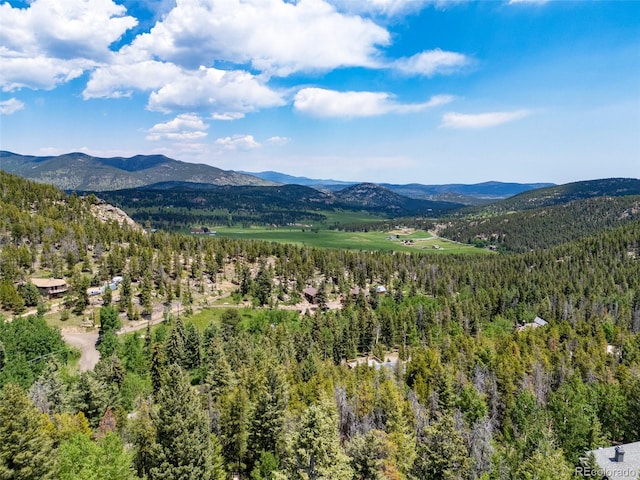 6882 Snowshoe Trl, Evergreen, CO 80439 - view of mountain backdrop featuring a heavily wooded area