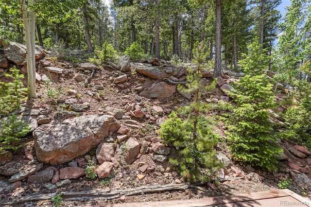 6882 Snowshoe Trl, Evergreen, CO 80439 - view of nature