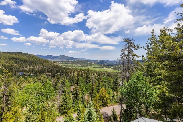 6882 Snowshoe Trl, Evergreen, CO 80439 - view of mountain backdrop featuring a heavily wooded area