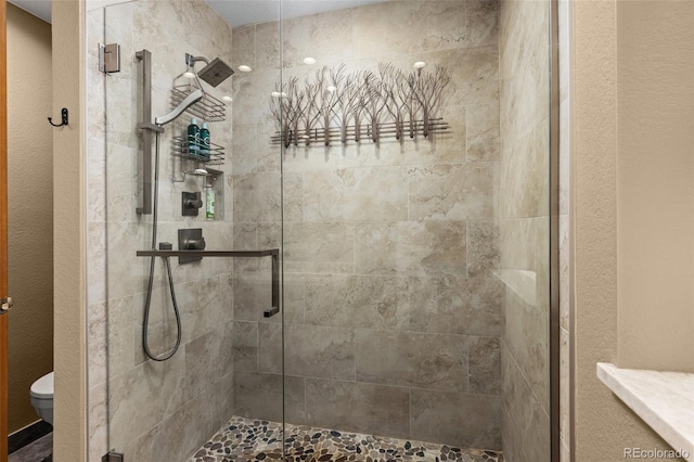 6882 Snowshoe Trl, Evergreen, CO 80439 - full bath with a stall shower and toilet