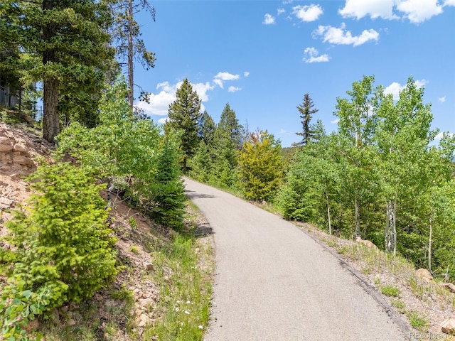 6882 Snowshoe Trl, Evergreen, CO 80439 - view of road