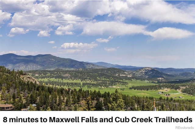 6882 Snowshoe Trl, Evergreen, CO 80439 - mountain view