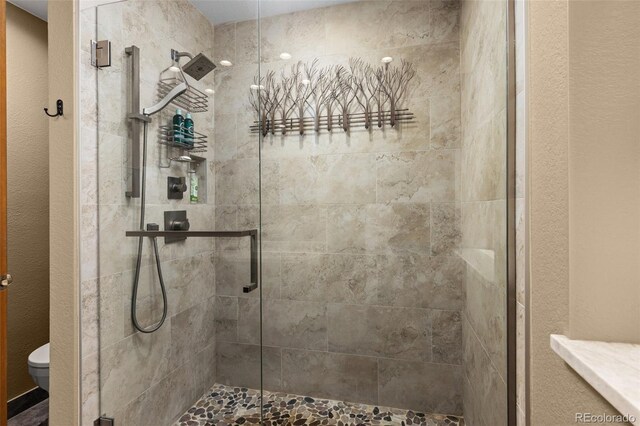6882 Snowshoe Trl, Evergreen, CO 80439 - bathroom with a stall shower and toilet