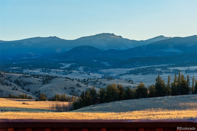 726 Cumberland Dr, Jefferson, CO 80456 - photo 35