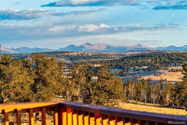 726 Cumberland Dr, Jefferson, CO 80456 - photo 37