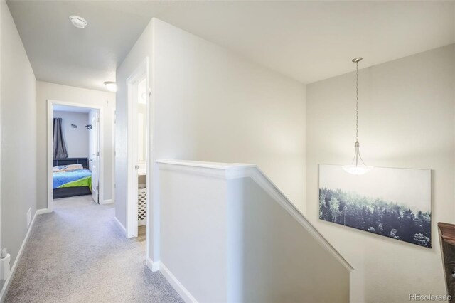 4026 Tiberias Pt, Colorado Springs, CO 80916 - corridor with carpet