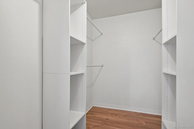 walk in closet with wood finished floors