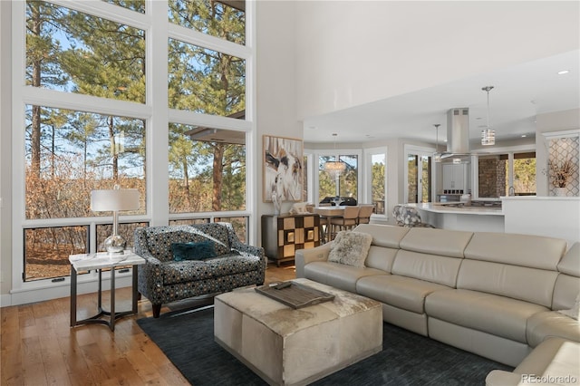 living room with hardwood / wood-style floors and a high ceiling