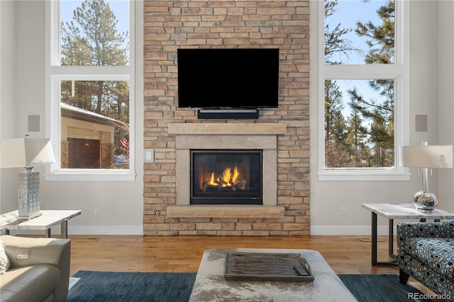 living room with hardwood / wood-style floors and a stone fireplace