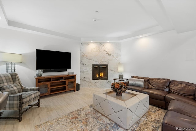 living room featuring a premium fireplace and a raised ceiling