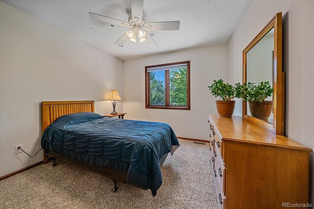 8944 W 66th Pl, Arvada, CO 80004 - photo 21