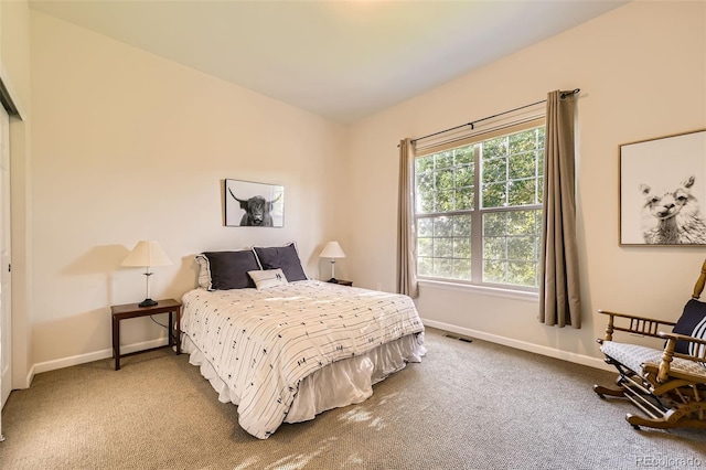16626 Las Brisas Dr, Broomfield, CO 80023 - bedroom with carpet floors and baseboards