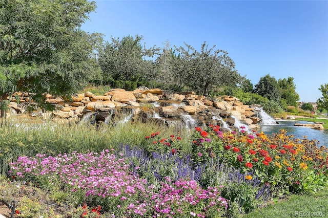 16626 Las Brisas Dr, Broomfield, CO 80023 - view of yard