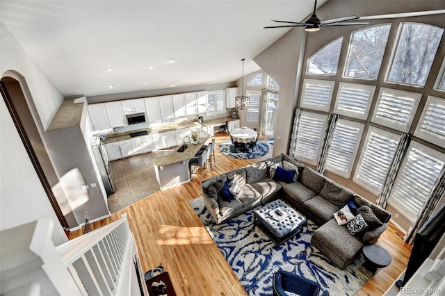 living room featuring ceiling fan, a healthy amount of sunlight, and light hardwood / wood-style flooring