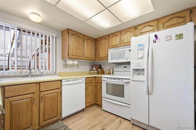 kitchen featuring light wood-type flooring, sink, and white appliances