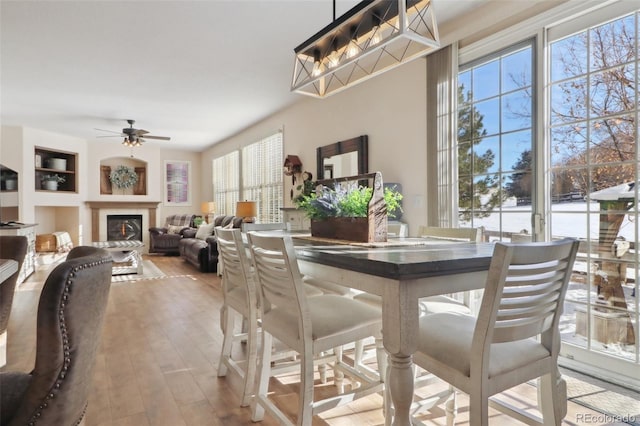 dining room featuring ceiling fan, a healthy amount of sunlight, and light hardwood / wood-style floors