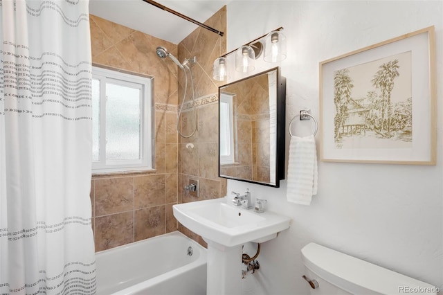 3065 Clermont St, Denver, CO 80207 - photo 16