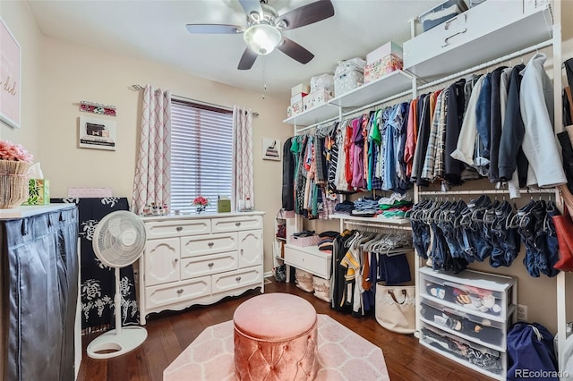 walk in closet with dark hardwood / wood-style floors and ceiling fan