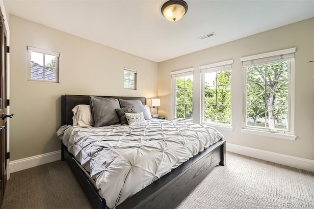 1410 S Elizabeth St, Denver, CO 80210 - bedroom featuring baseboards and carpet flooring