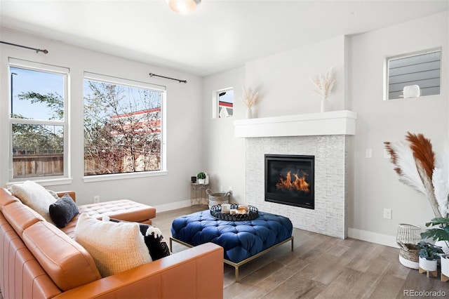 living room featuring a fireplace and light hardwood / wood-style flooring