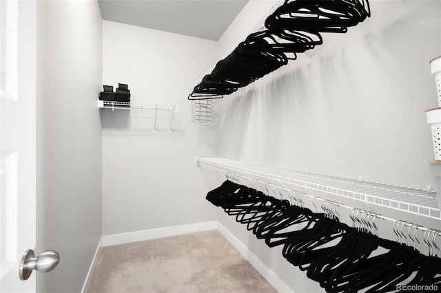 walk in closet featuring light colored carpet