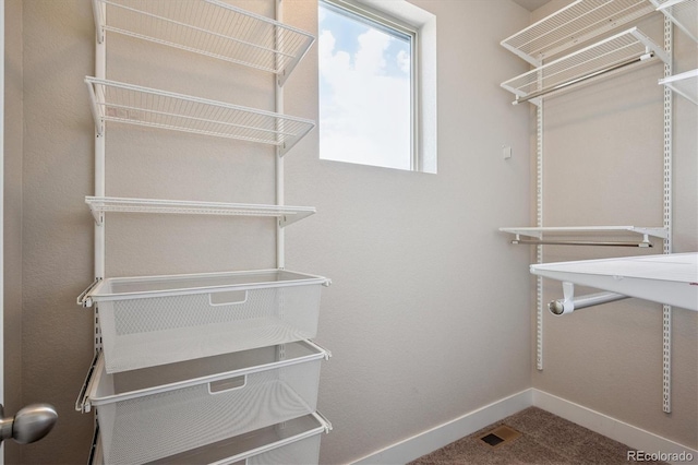 6834 Clay St N, Denver, CO 80221 - walk in closet featuring carpet floors