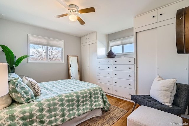 bedroom featuring light wood-style floors, multiple closets, and ceiling fan