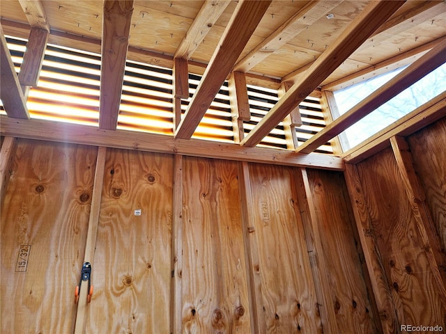 details featuring a skylight