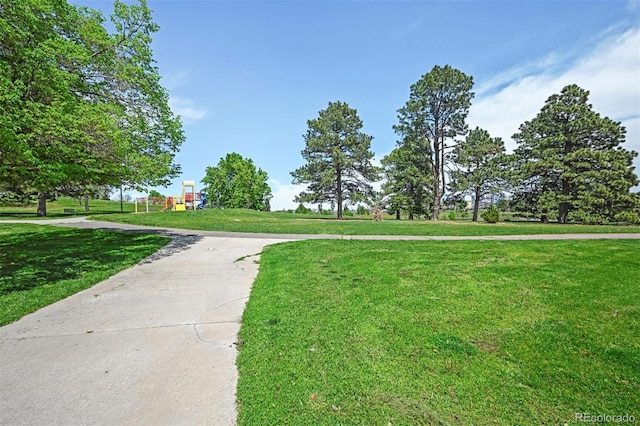view of community featuring a yard