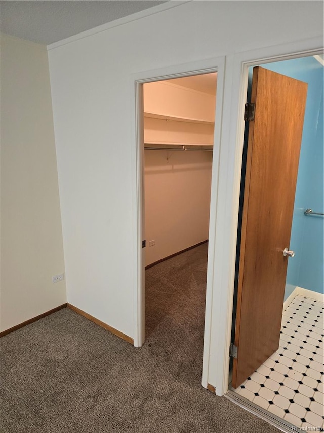 interior space with a walk in closet, a closet, and dark colored carpet