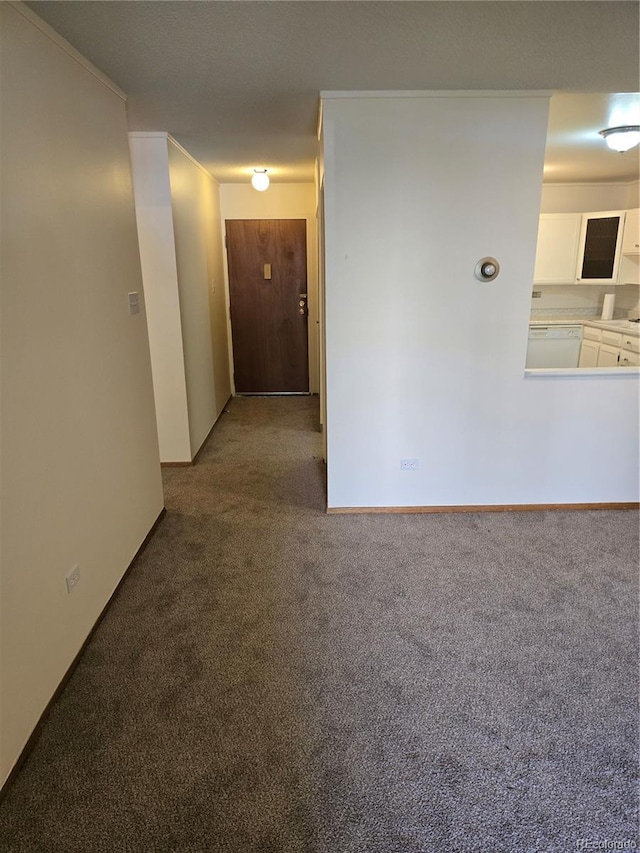 spare room with carpet and crown molding