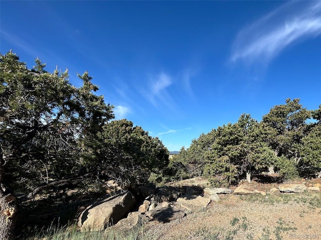 53997 County Road Ll56, Villa Grove, CO 81155 - photo 21