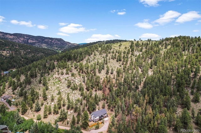 663 Brookside Dr, Bailey, CO 80421 - view of mountain background featuring a forest