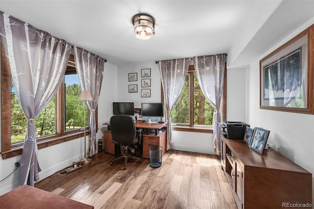 663 Brookside Dr, Bailey, CO 80421 - home office featuring plenty of natural light and light wood-style flooring