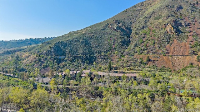mountain view