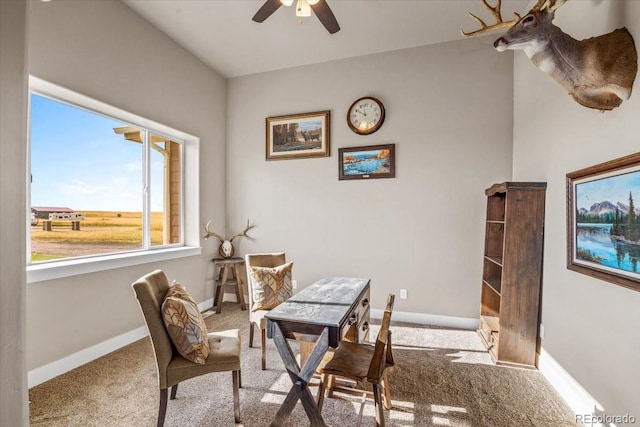 45425 Wolf Creek Dr, Bennett, CO 80102 - carpeted office space with plenty of natural light and ceiling fan